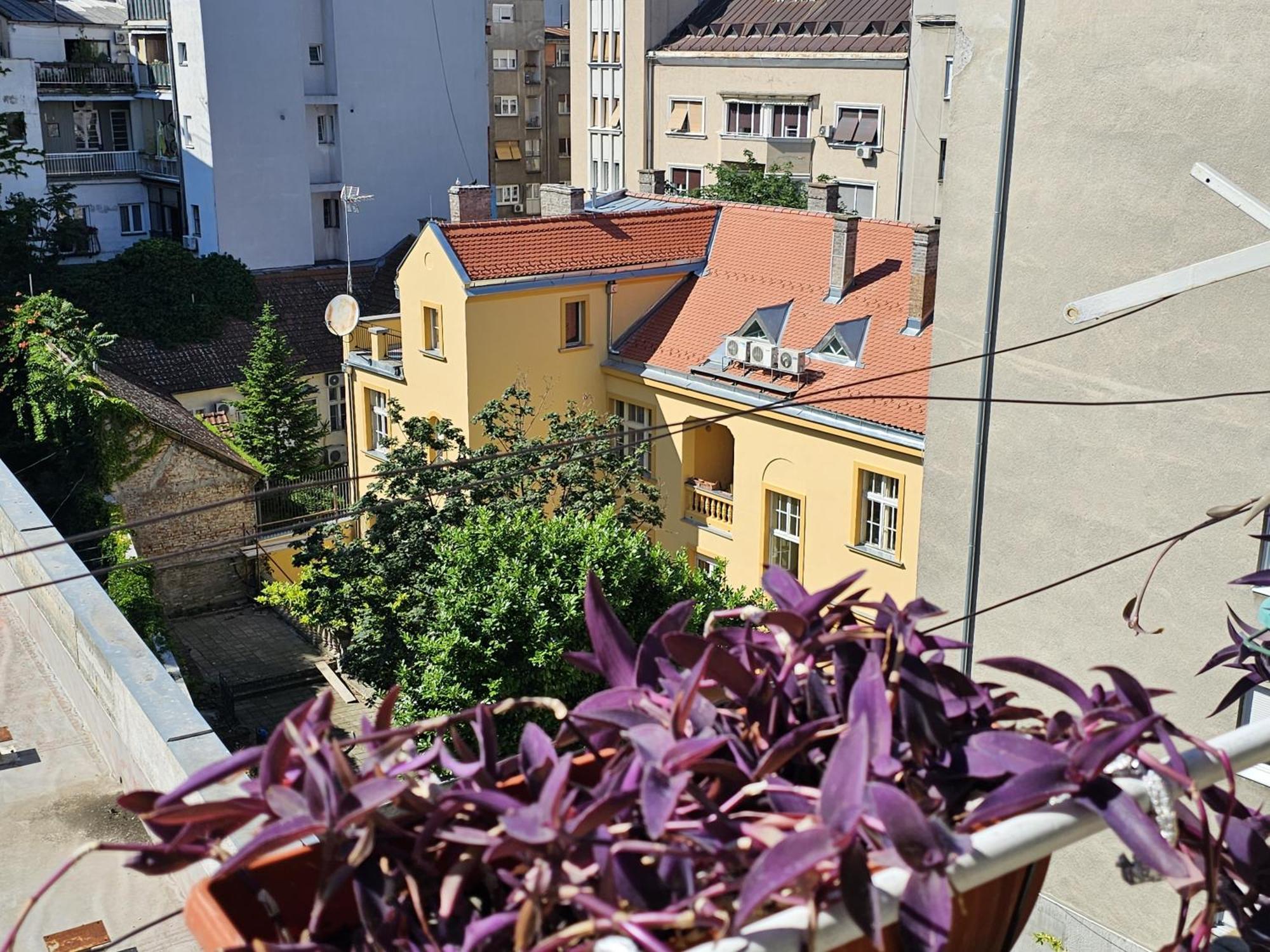 Apartman Didi *