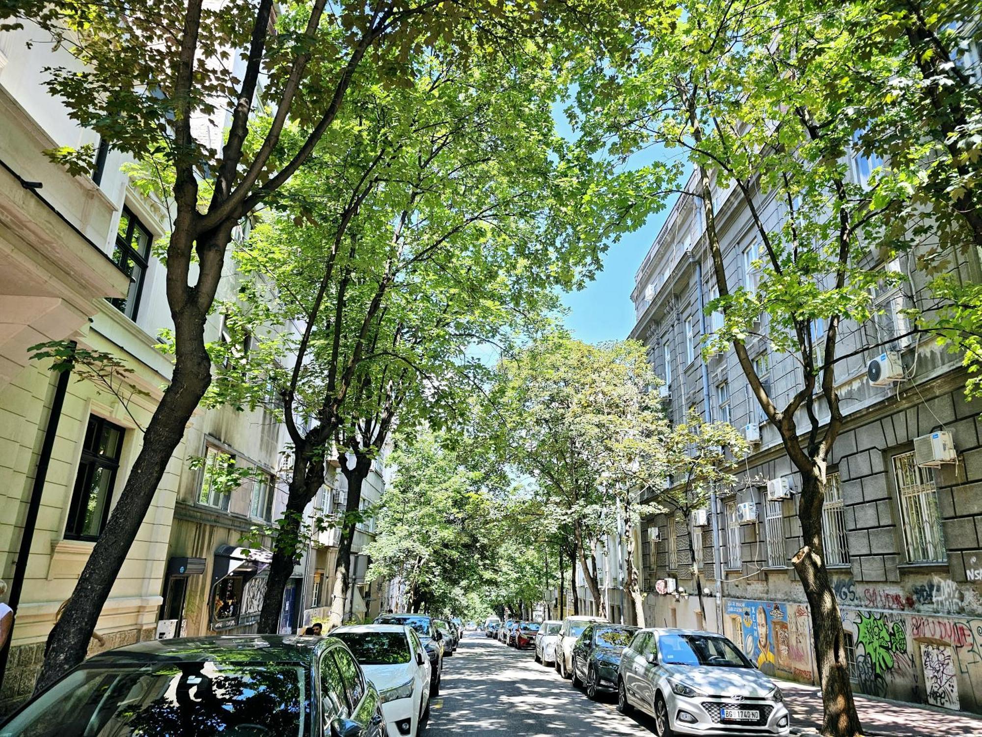 Apartman Didi *